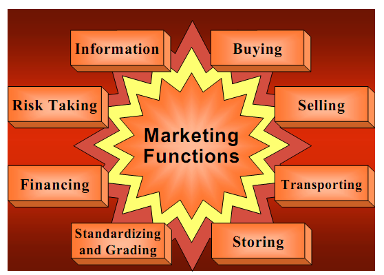 marketing-functions-marketing-assignment-help